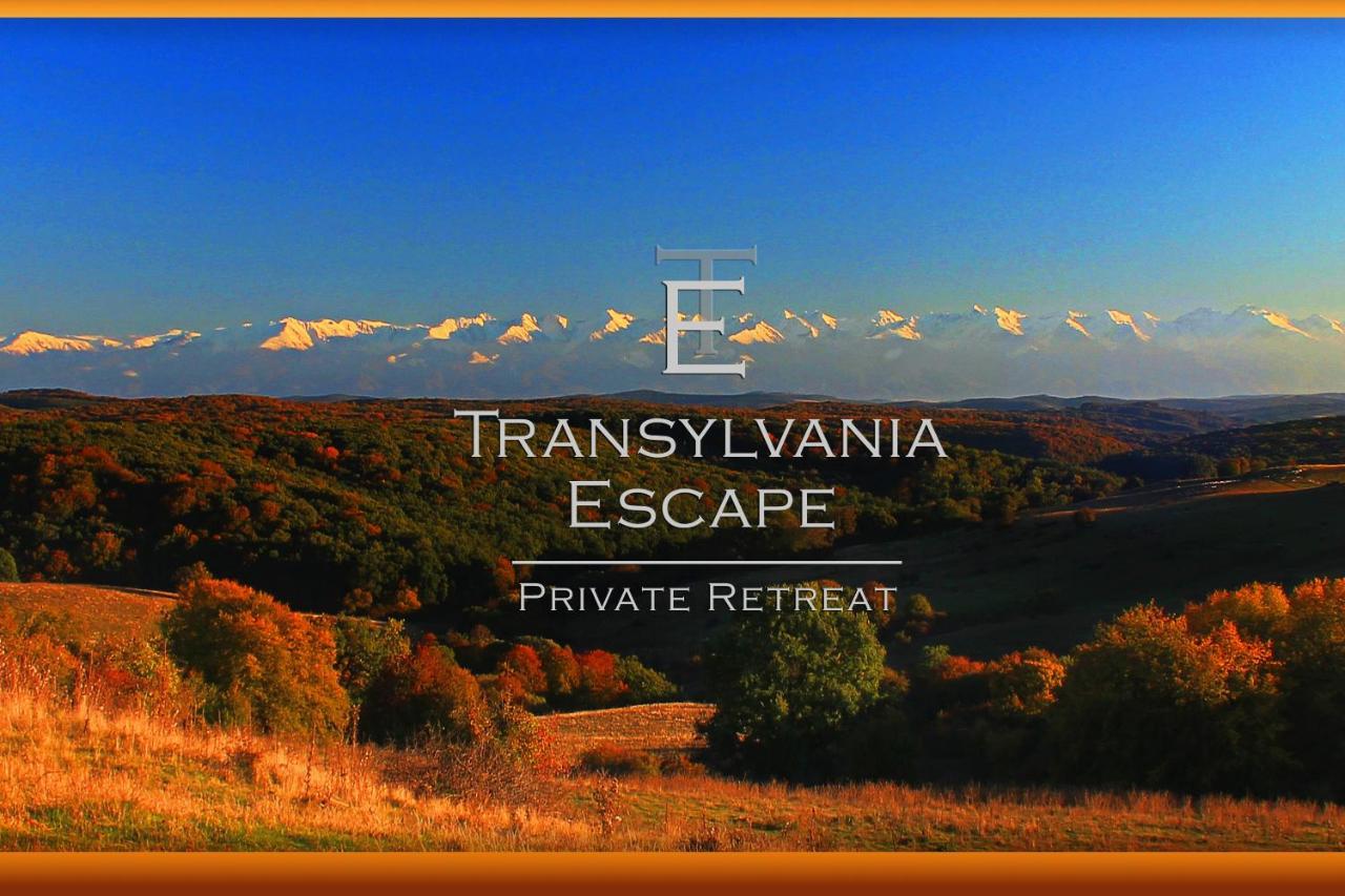 Transylvania Escape Daire Richisu Dış mekan fotoğraf