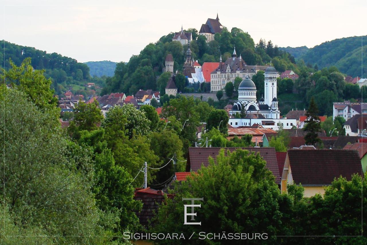 Transylvania Escape Daire Richisu Dış mekan fotoğraf