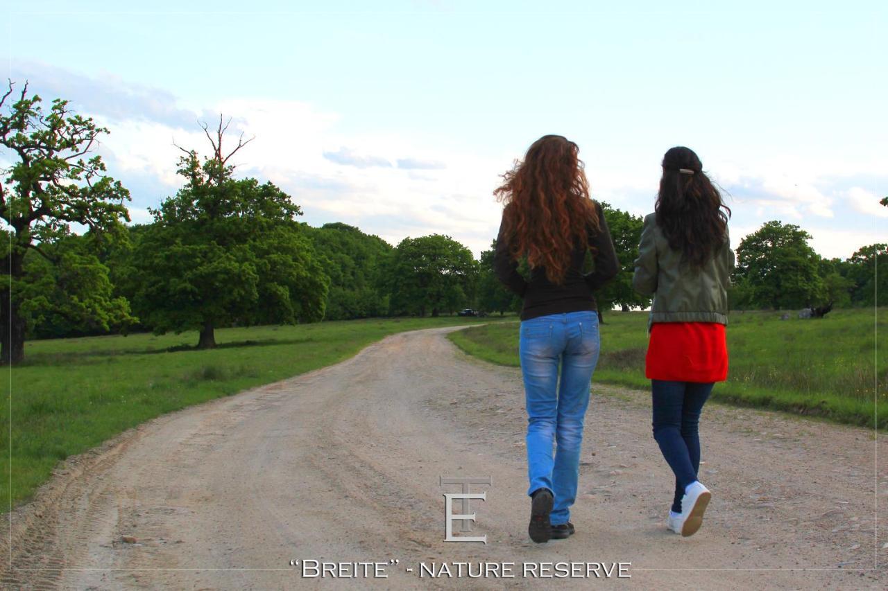 Transylvania Escape Daire Richisu Dış mekan fotoğraf
