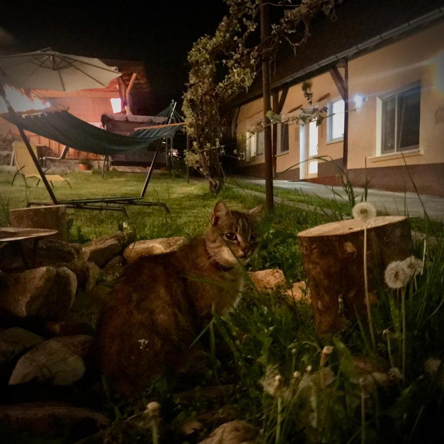 Transylvania Escape Daire Richisu Dış mekan fotoğraf